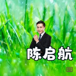 陈启航